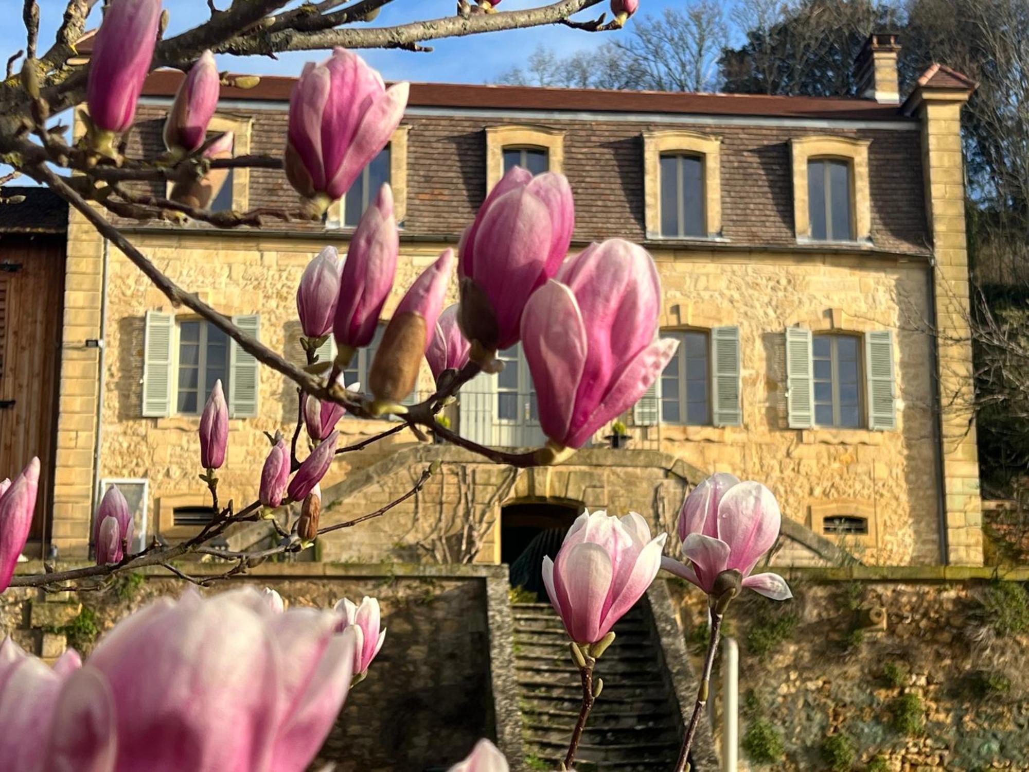 Le Clos De L'Ane Dentelle Vézac Exterior foto